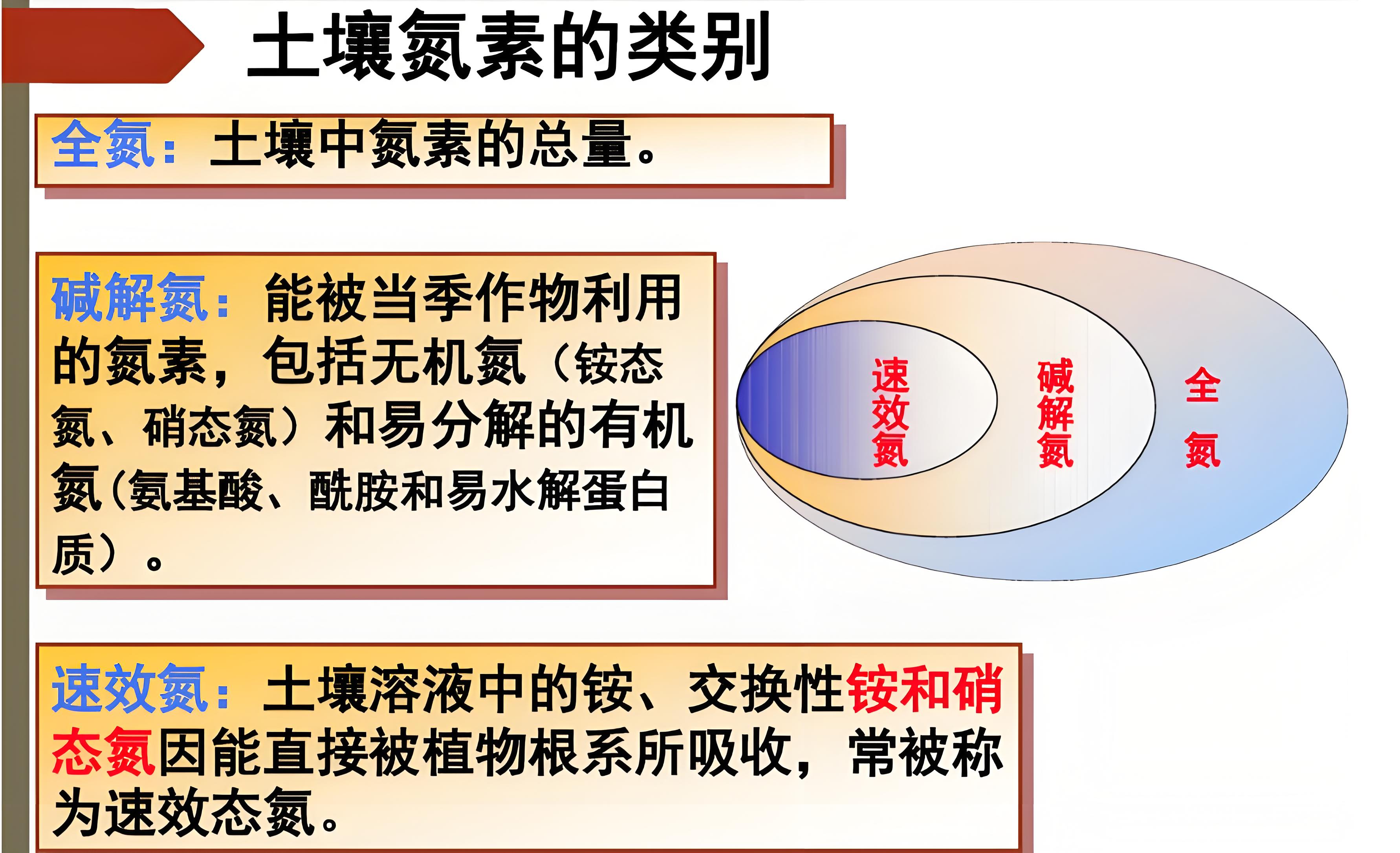 59d089d6-8a23-4a9a-a4eb-09dcc99a2544.jpg