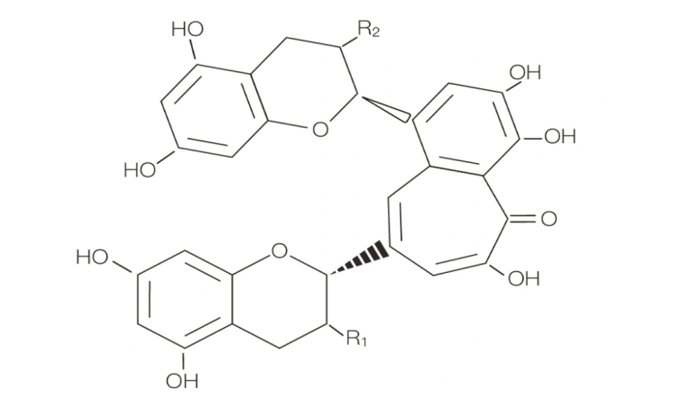 茶黄素.png