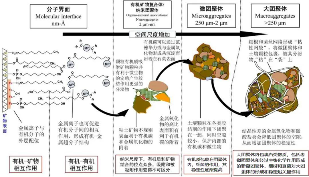 QQ图片20240603100428.jpg